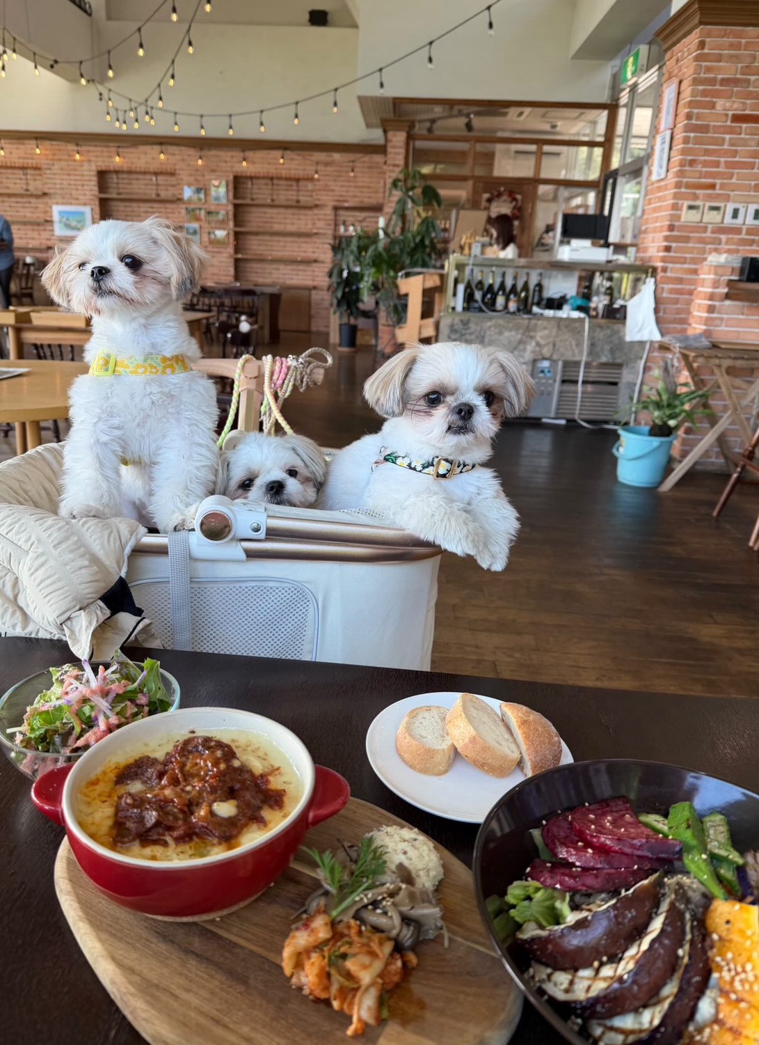 LINE_ALBUM_インスタ素材_260106_3