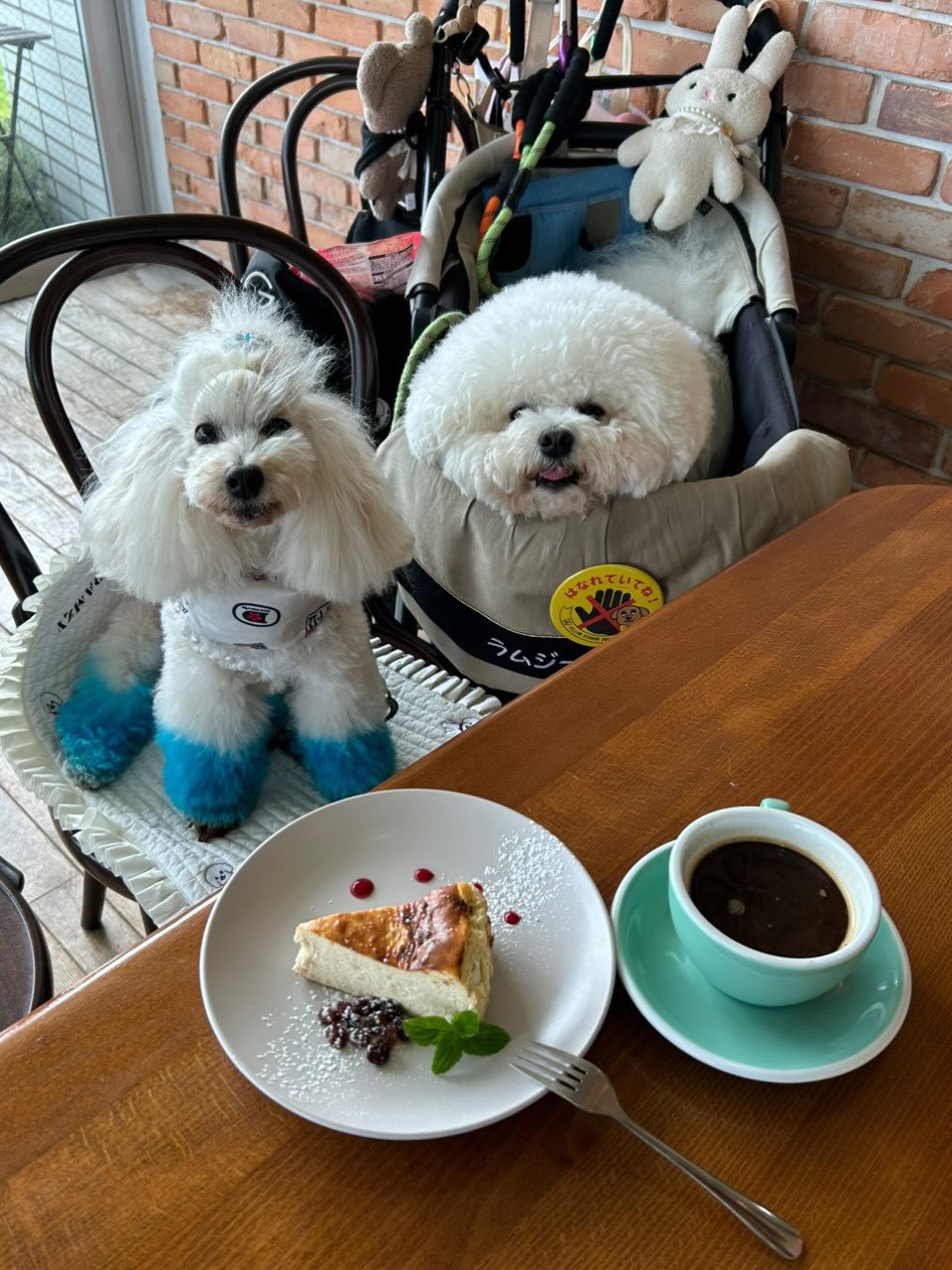 LINE_ALBUM_インスタ素材_260106_5