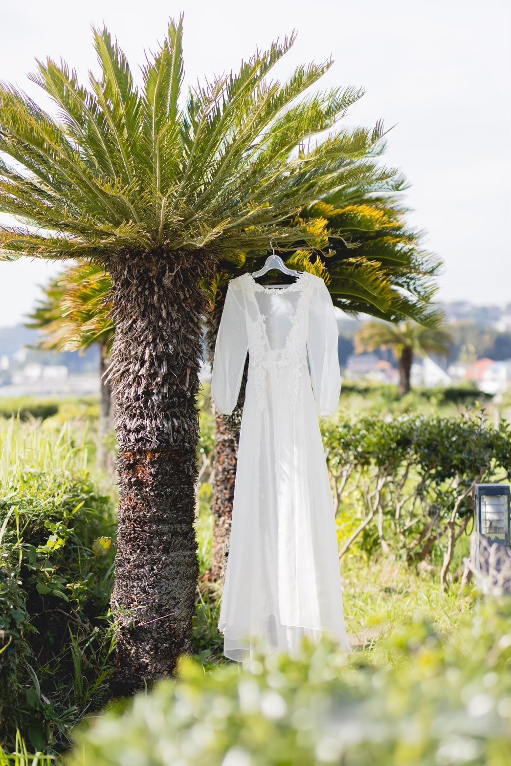 LINE_ALBUM_なお結婚式_260103_4